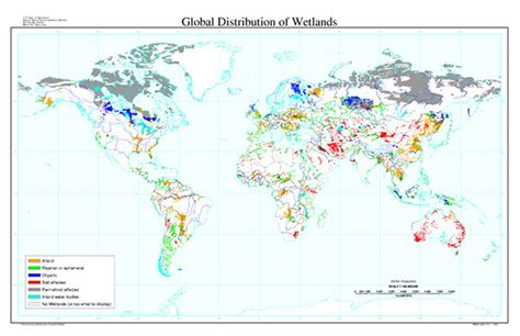 Locations - Freshwater Swamps