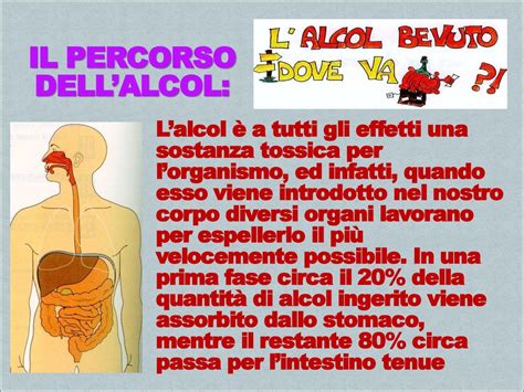 Lalcol E I Suoi Effetti Ppt Scaricare