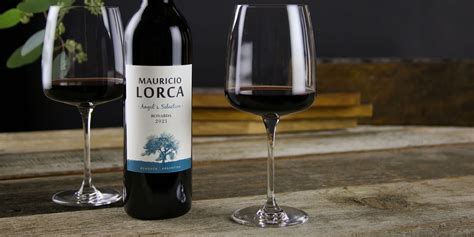 Mauricio Lorca Angels Selection Bonarda 2021 NakedWines