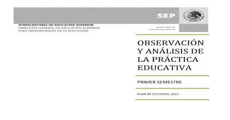 Observaci N Y An Lisis De La Pr Ctica Educativa El Curso De