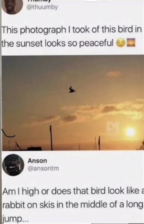 You Cant Unsee It Rfunnymemes
