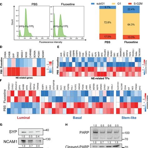 High Throughput Drug Library Screening Identified The Potential Download Scientific Diagram