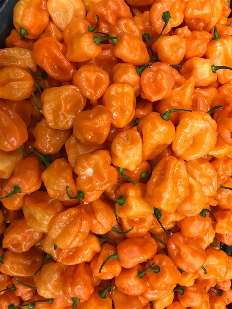 how to pronounce habanero