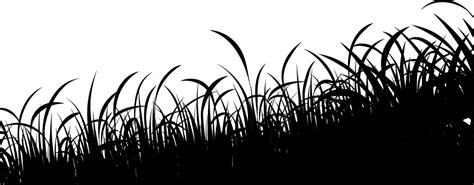 Grass Silhouette Grass Silhouette - Grass - Free Transparent PNG ...