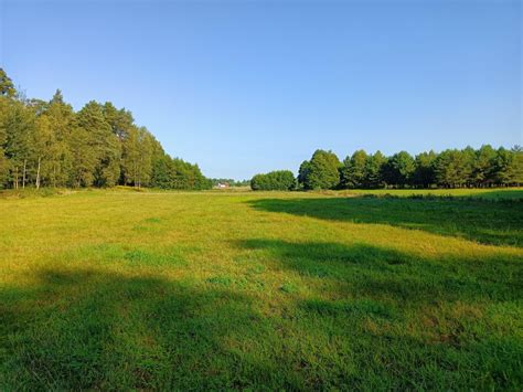 Działka Stare Guty bez pośrednika 2600 m2