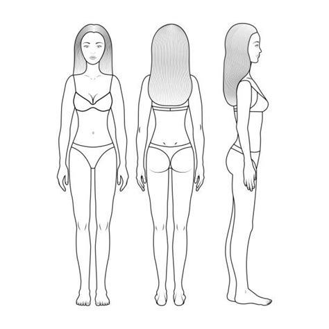 Full Length Front And Back View Of A Standing Naked Woman Outlined In