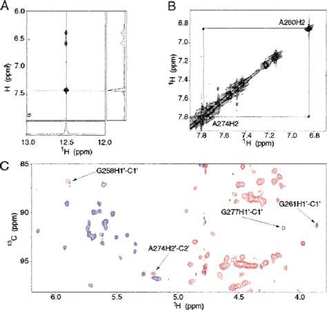 NMR Data Demonstrating Presence Of An SRL Motif In HCV IIId A The