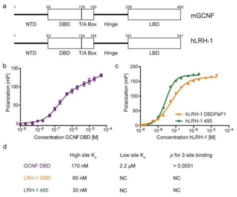 GCNF And LRH 1 Bind Directly To The Oct4 DR0 A Diagram Of The GCNF