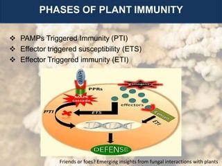 Defence Mechanism In Plants Against Fungal Pathogen Ppt