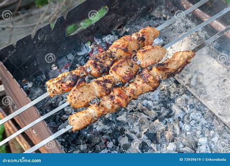 Meat On Skewers Hot Coals Stock Image Image Of Onion