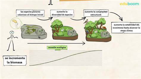 Sucesión Secundaria