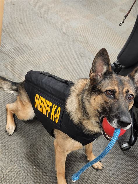 Henry County Sheriffs K9s Receive Body Armor Donation