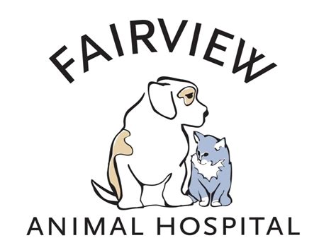 Grooming Form Success | Fairview Animal Hospital