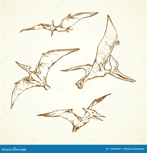 Pterodactyl Fossil Drawing