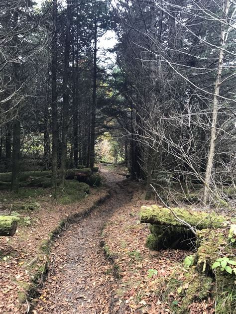 Appalachian Trail Fontana Dam To Clingmans Dome Appalachian Trail