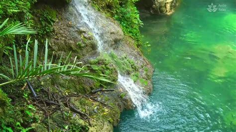 Calming Turquoise River And Waterfall Sounds White Noise Nature Asmr