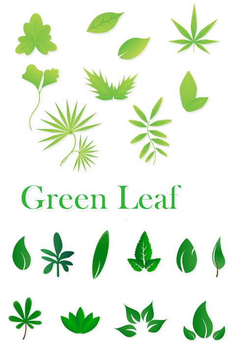 Green Leaf Vector - ClipArt Best