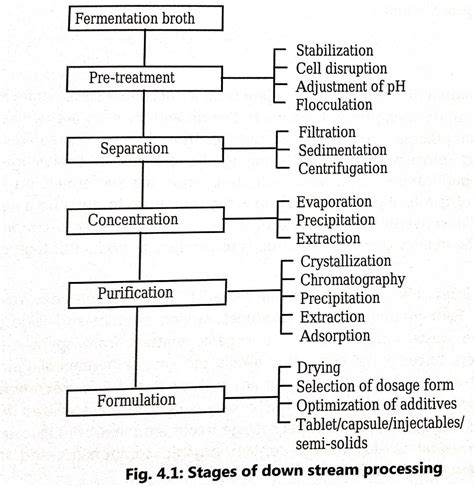 Downstream Processing - Biology Ease