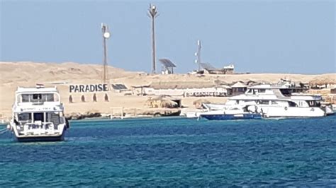 رحلة بحرية فى جزيره باراديس الغردقة سبحان الله على الجمال 🥰 Paradise