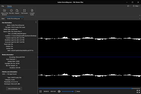 Wav Wave Files What They Are How To Open Them Citizenside