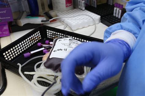 Permessi Lavorativi Per Donazione Sangue Richiesta Durata E Documenti