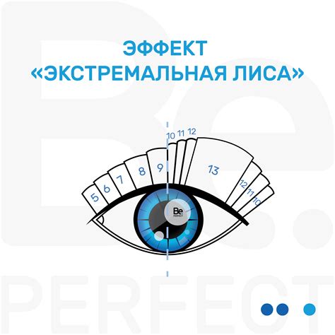 Ресницы схема лисы - 80 фото