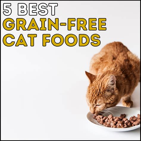 5 Best Grain-Free Cat Foods For Easy Digestion