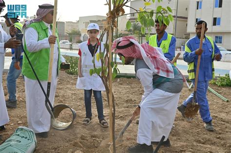 بيئي أمانة المدينة المنورة تنفذ مبادرة للزراعة داخل نطاق مشروع