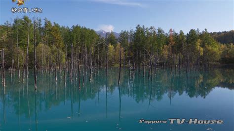 秋の青い池2 Shirogane Blue Pond In Autumn 2 4kuhd Youtube