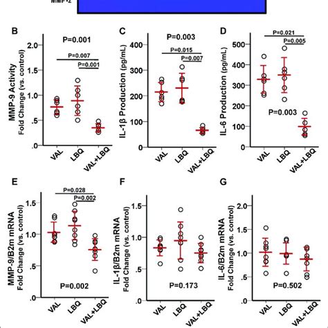 Combined Effects Of Valsartan With Lbq In In Vitro Assay Using