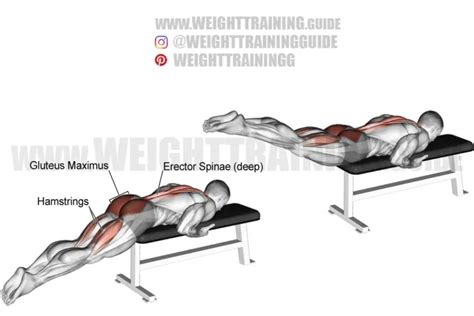 Incline Reverse Grip Barbell Bench Press Exercise Guide And Videos