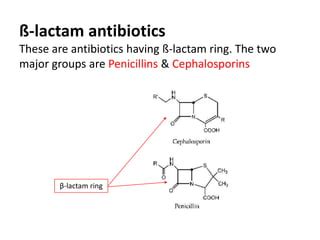 Beta Lactam Antibiotics Penicillin Cephalosporin Ppt