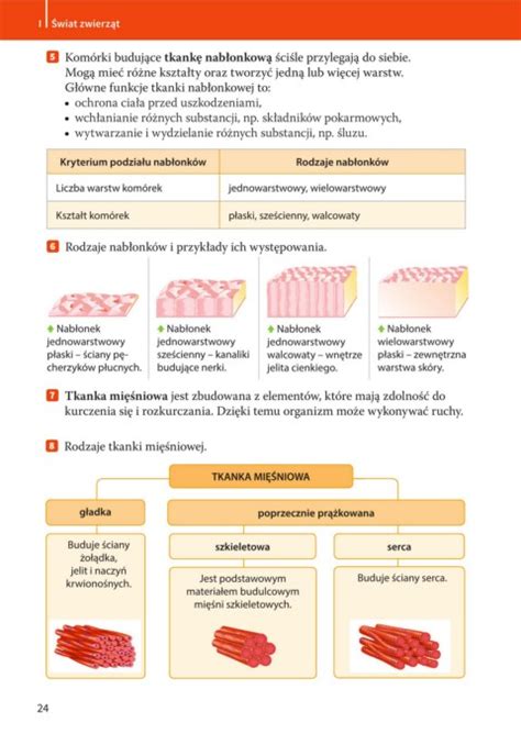 Page 26 Puls życia 6 Podręcznik