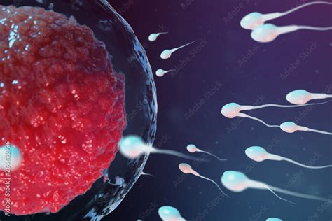 Fototapeta 3D Illustration Sperm And Egg Cell Ovum Sperm Approaching