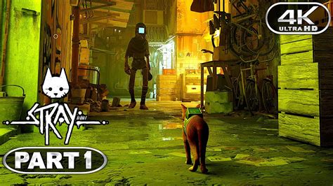 Stray Gameplay Walkthrough Part 1 4k 60fps Pc Ultra No Commentary Youtube