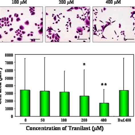 Effect Of Tranilast On Cell Morphology And On The Cell Area Of The