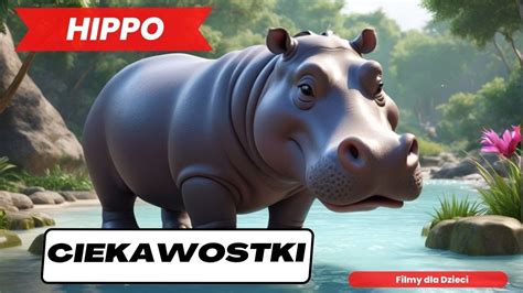 HIPPO Ciekawostki O Hipopotamach Film Dla Dzieci Ciekawostki