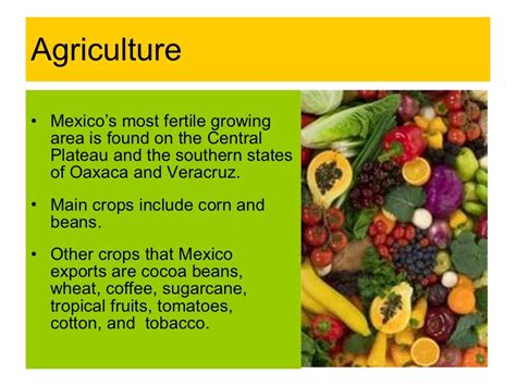 Mexico’s natural resources