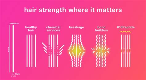 The Science Behind Hair Strength