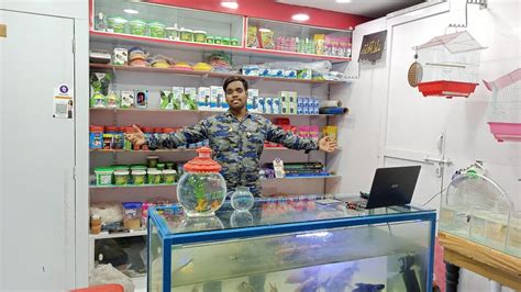 Fishes Shop Ar Aquarium And Pets Best Shop To Purchase Difference