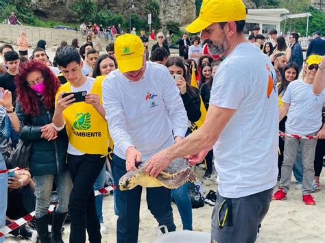 Tartarughe Marine Il Lanno Record Delle Nidificazioni In Calabria