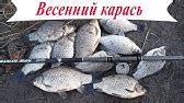 КАРАСЬ ВЕСНОЙ, ВЕСЕННИЙ ЖОР! БЕШЕНЫЙ КЛЕВ РЫБЫ КОГДА ОНА НАЧИНАЕТСЯ ...