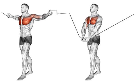 Massive Chest Workout Meanmuscles