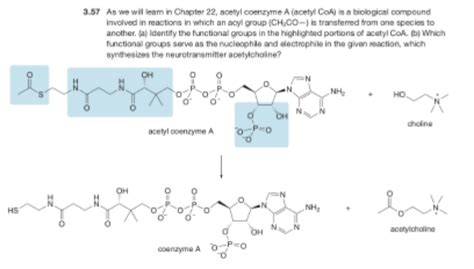 Acetyl Functional Group
