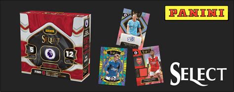 Panini Select Premier League Soccer Cards Fiche