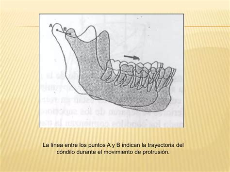 Movimientos Mandibulares Ppt