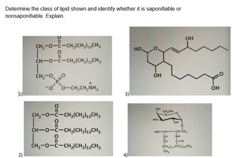 Solved Determine The Class Of Lipid Shown And Identify W