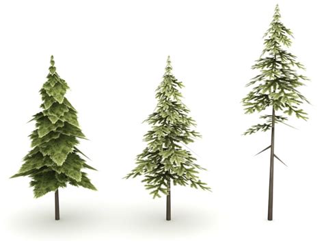 Pine Trees 3d Model 3ds Max Files Free Download Cadnav