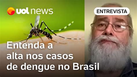 Dengue Em Alta No Brasil M Dico Tira D Vida Sobre Aumento De Casos