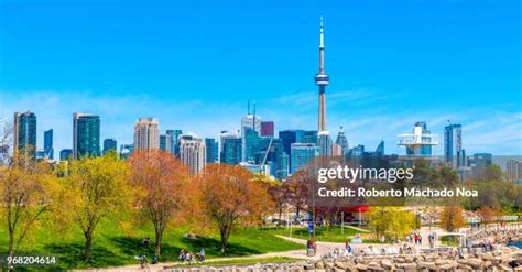 toronto cn tower skyline stock  high res pictures